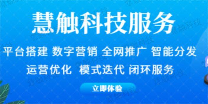 企业seo营销方案定制