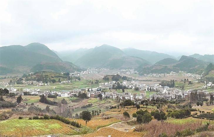 2026年贵州果树种植有那些新品种