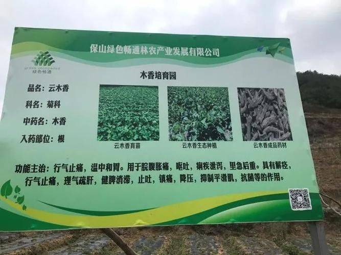 几种中药材种植技术