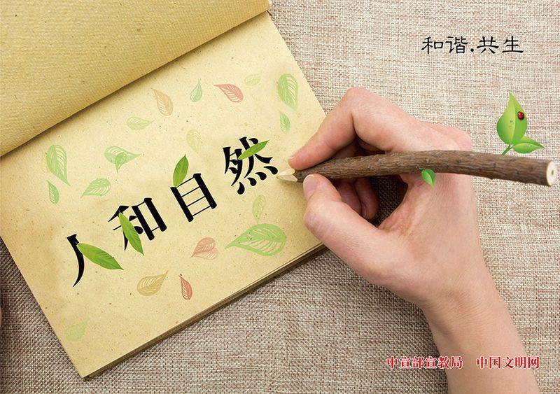 绿色生活小知识