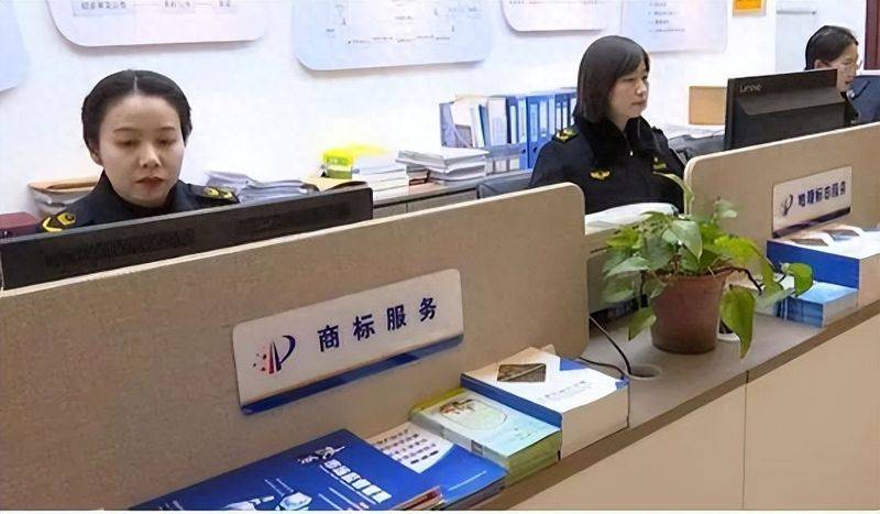 凤县:强化知识产权赋能 助力企业向“新”而行