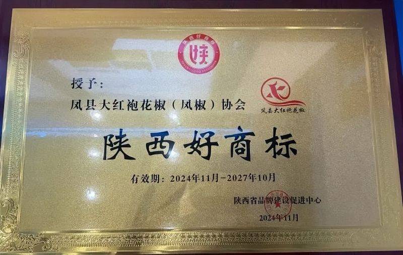 企业知识产权贯标成效