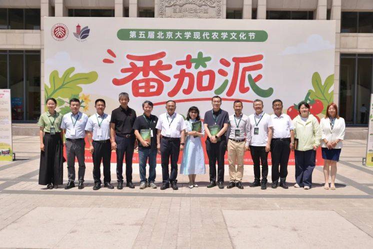 蕃茄如何种植技术