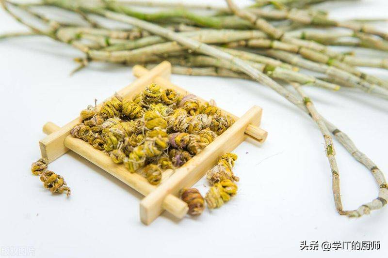 下载铁皮石斛种植技术