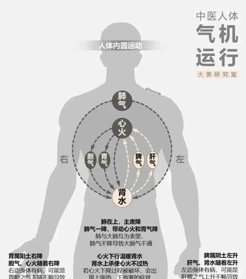 中医养生常识图片