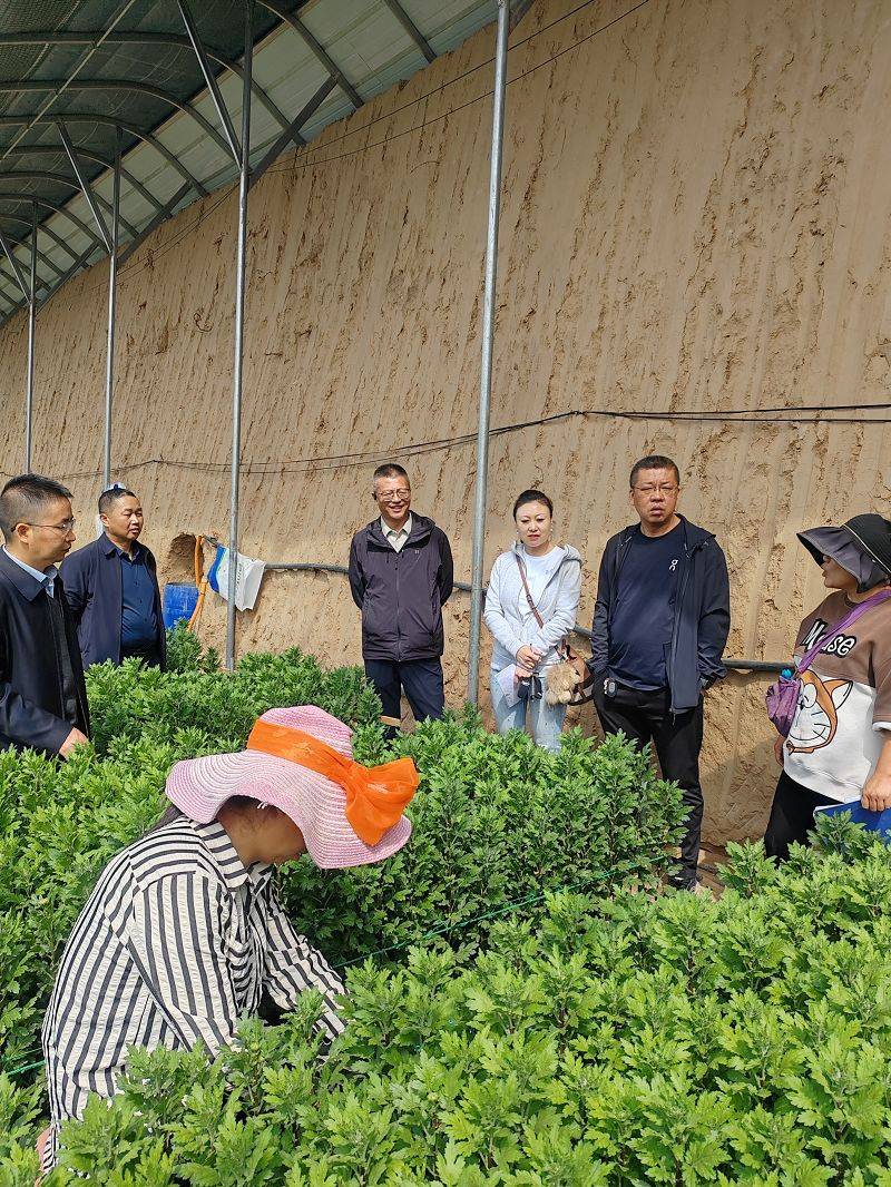 几种中药材种植技术