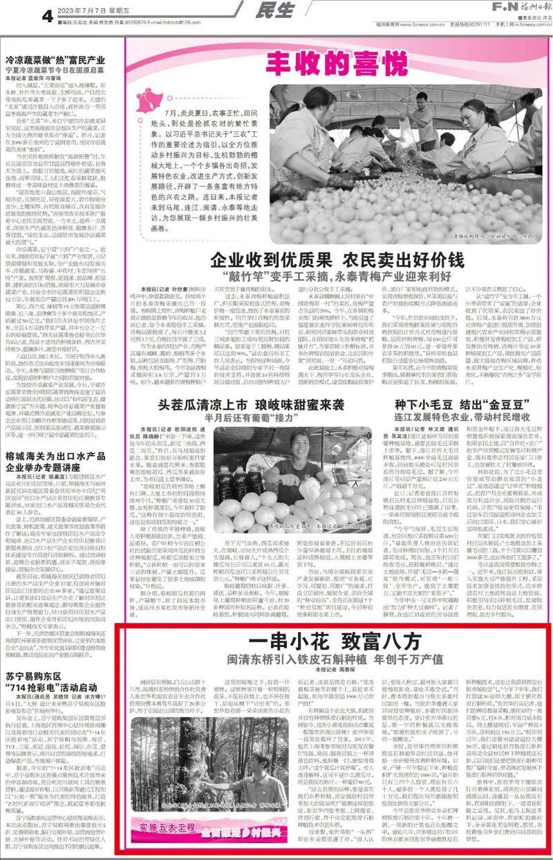 下载铁皮石斛种植技术