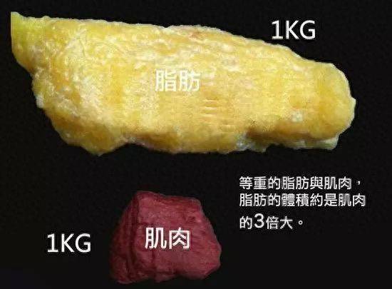 减肥常识大全集