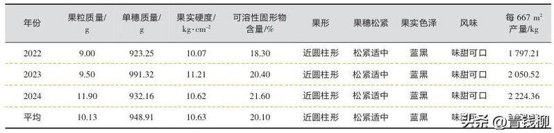 葡萄的种植技术