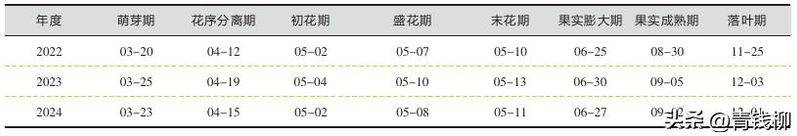 葡萄的种植技术