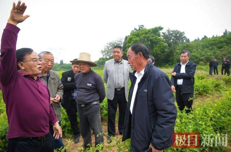 几种中药材种植技术