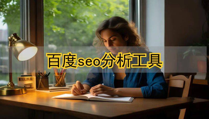 seo分析