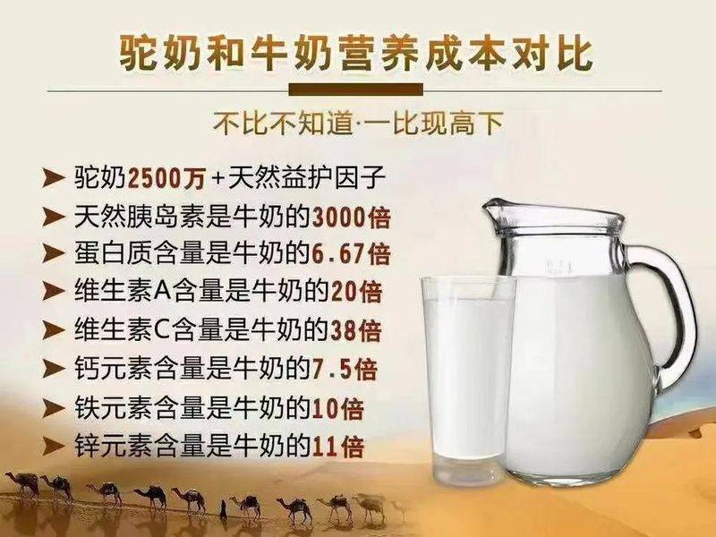 圣元优聪奶粉多少钱