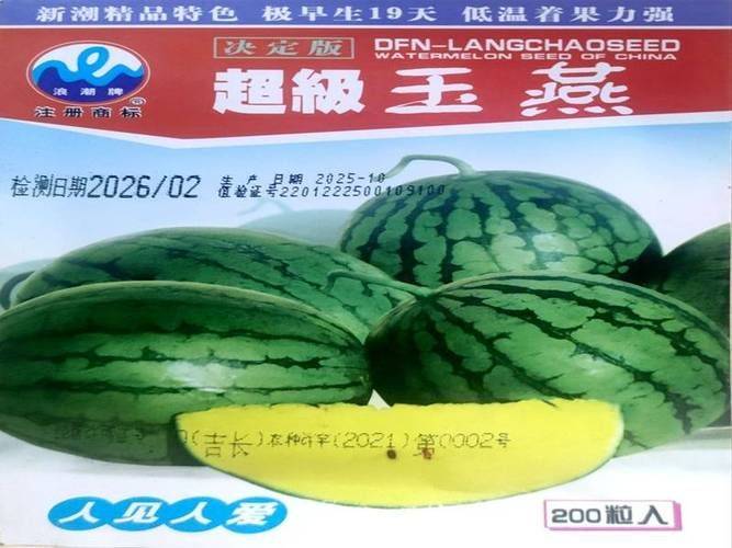 东北香瓜种植技术
