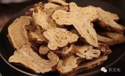 土茯苓种植方法图片