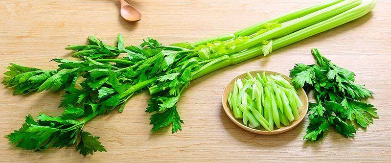 大白菜种植时间和方法