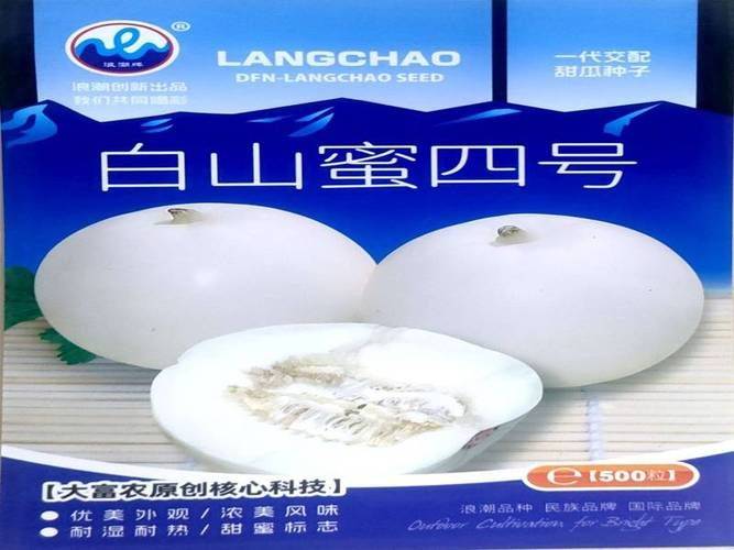 东北香瓜种植技术