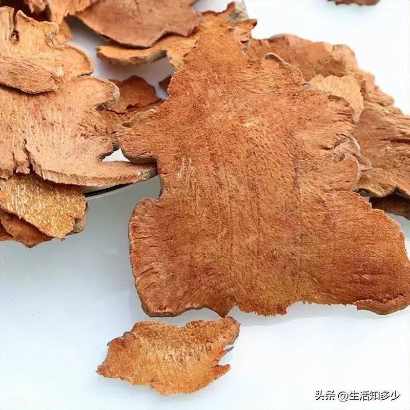土茯苓种植方法图片