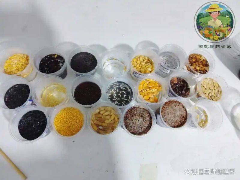 植物种植意向图