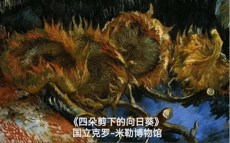 梵高向日葵步骤