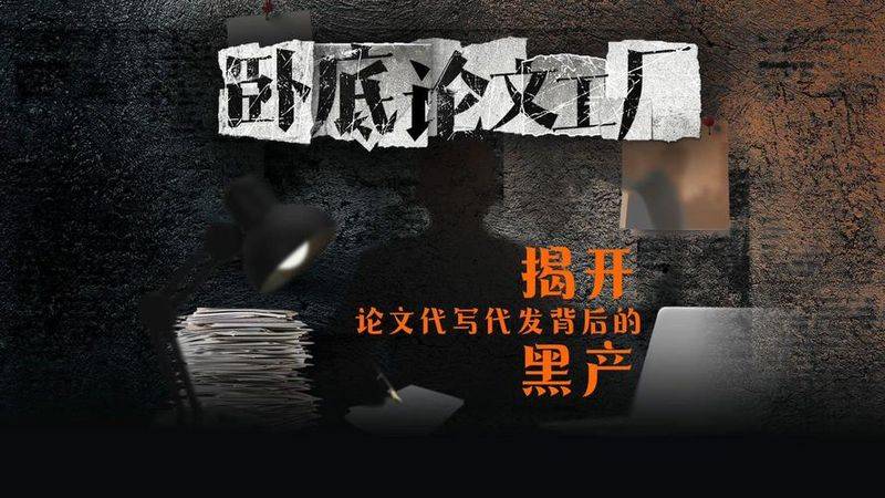 卧底“论文工厂”：万字论文半天写完 数据文献全靠AI编