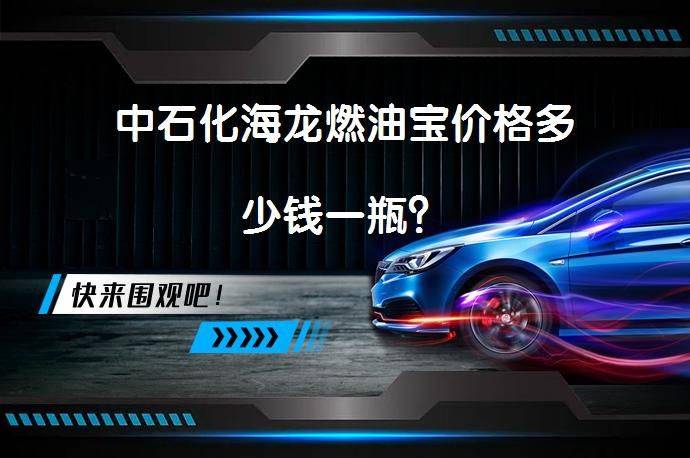 海龙燃油宝 多少钱