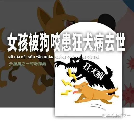 一支狂犬疫苗多少钱