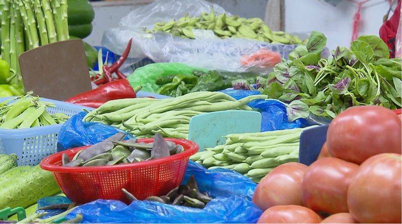 Vegetable types in large sheds