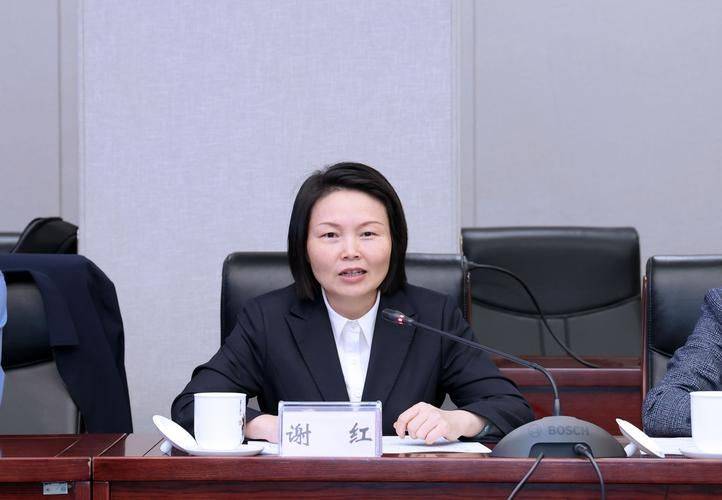 社会资本理论概述