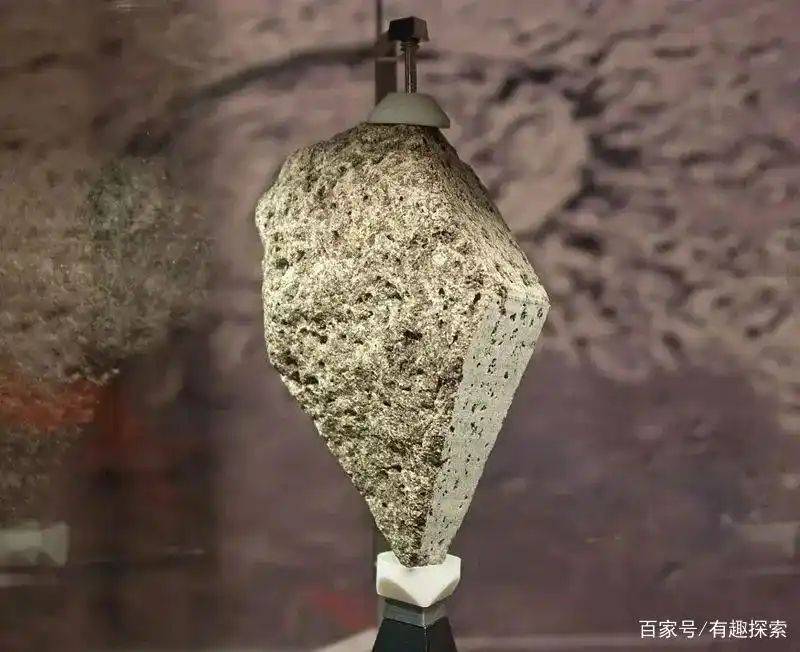 月球有没有种植蔬菜