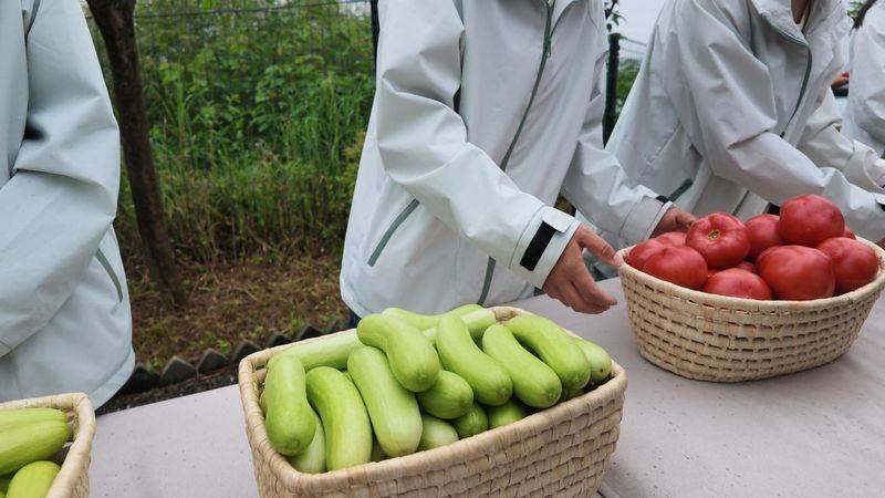 Vegetable types in large sheds