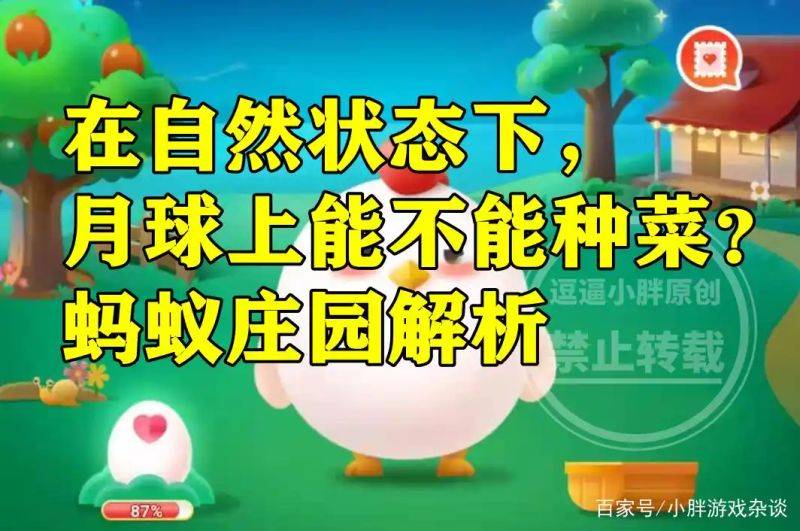 月球有没有种植蔬菜