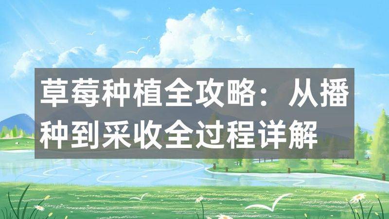 草莓种植全攻略:从播种到采收全过程详解