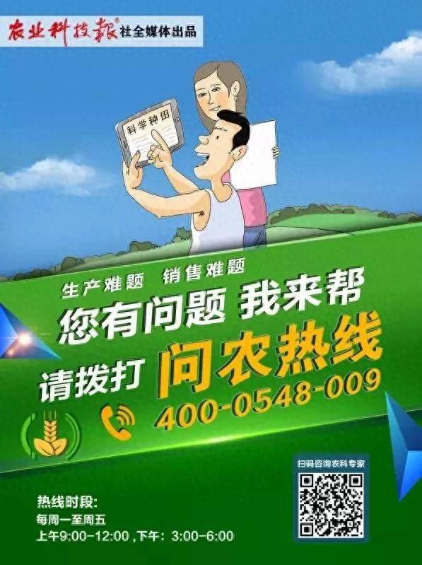 弥猴桃的种植技术