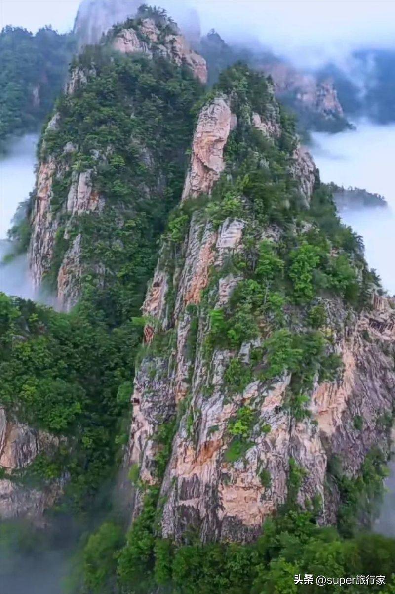 南阳seo网络优化公司