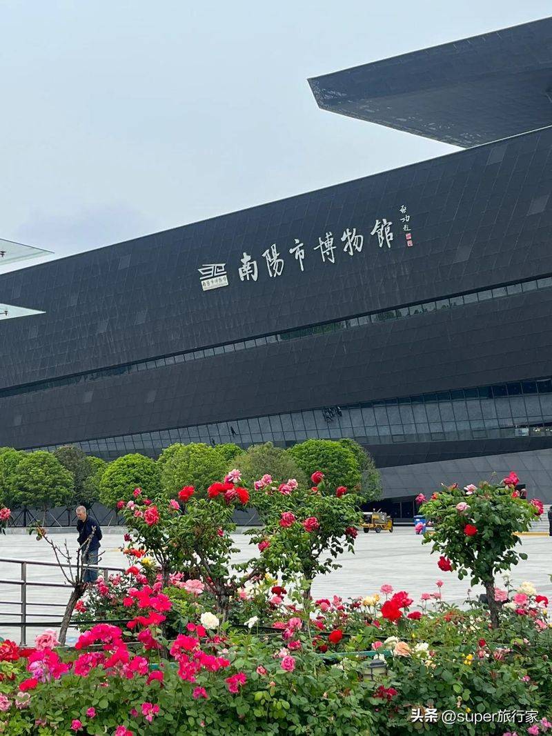 南阳seo网络优化公司