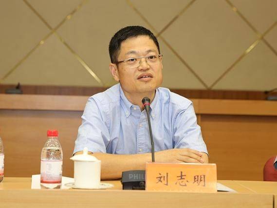 社会资本理论概述