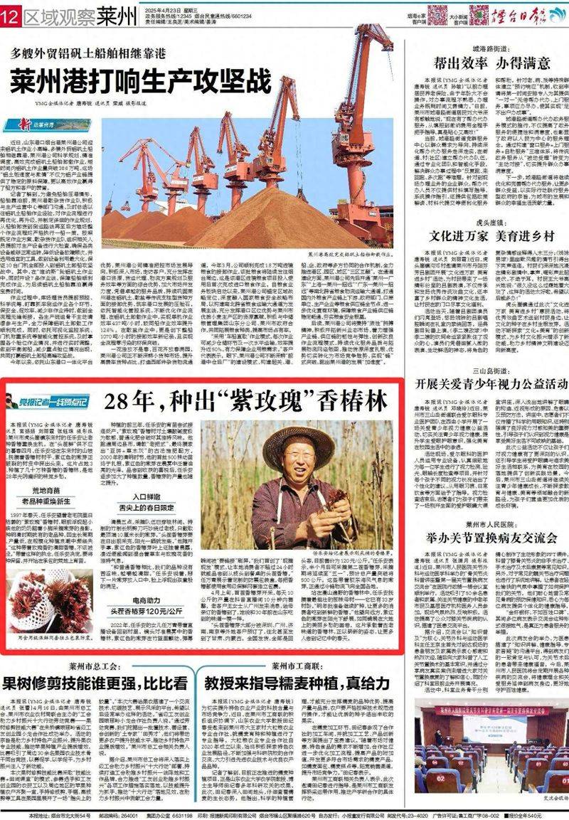 香椿种植技术视频