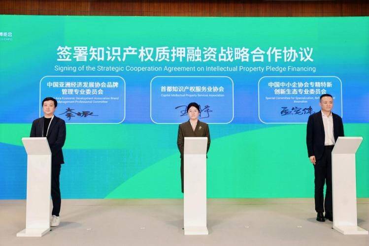 知识产权试点思路