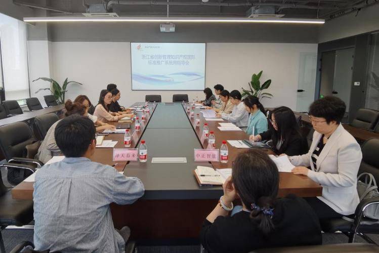 知识产权试点思路