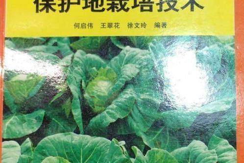 秋萝卜种植技术