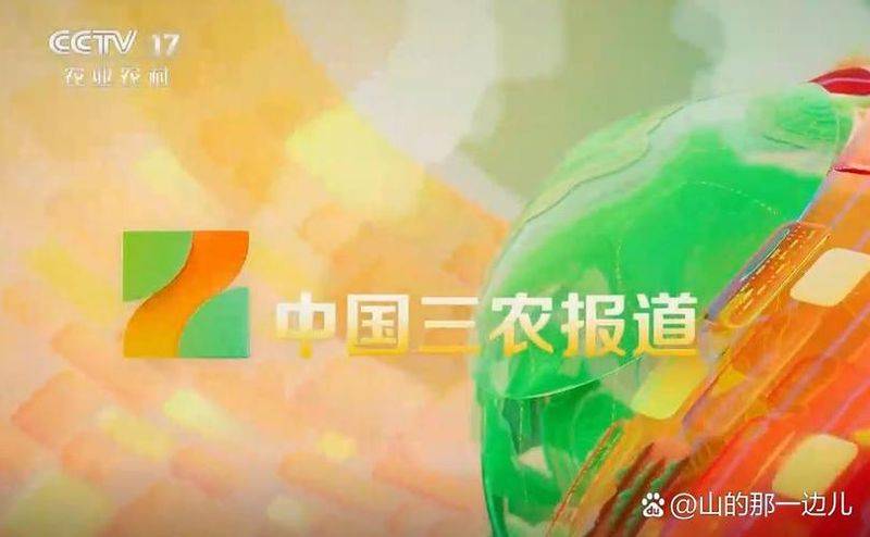 云南天麻种植技术视频