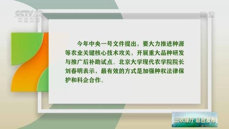 云南天麻种植技术视频