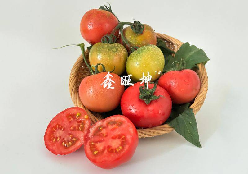 小番茄种子的种植方法