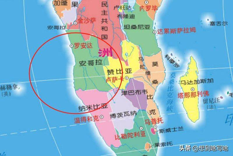 安哥拉树皮多少钱一斤