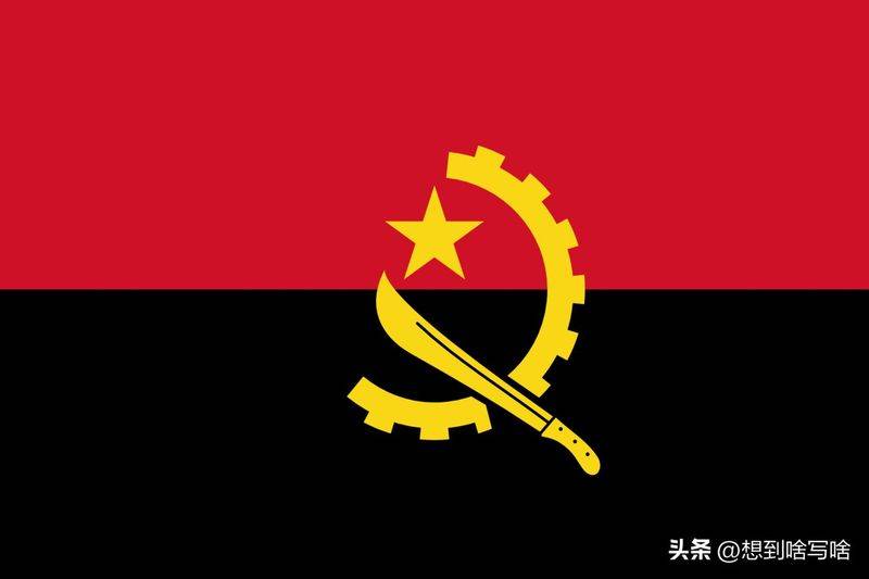 安哥拉树皮多少钱一斤