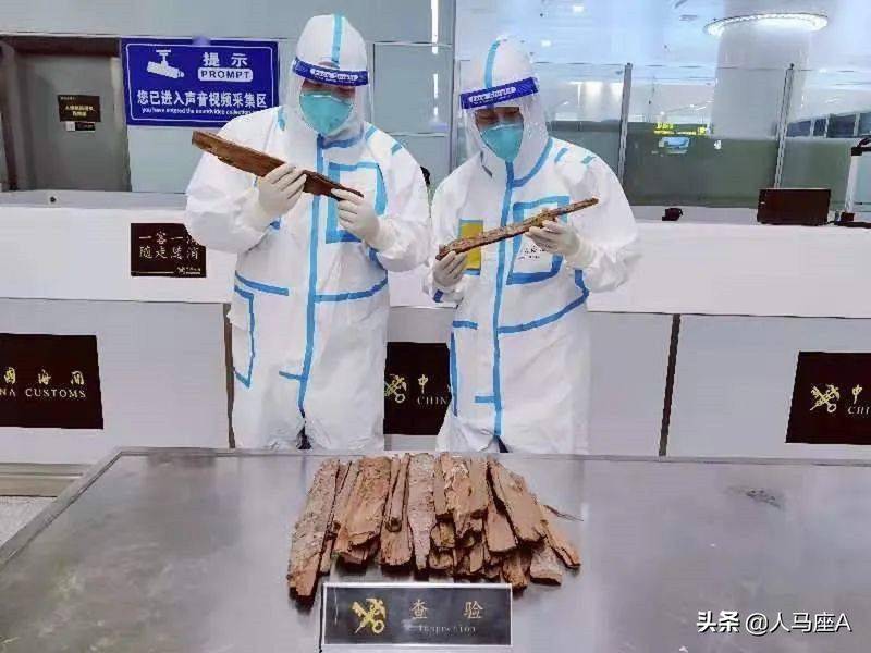 安哥拉树皮多少钱一斤
