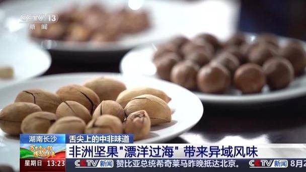 可可豆产地特点