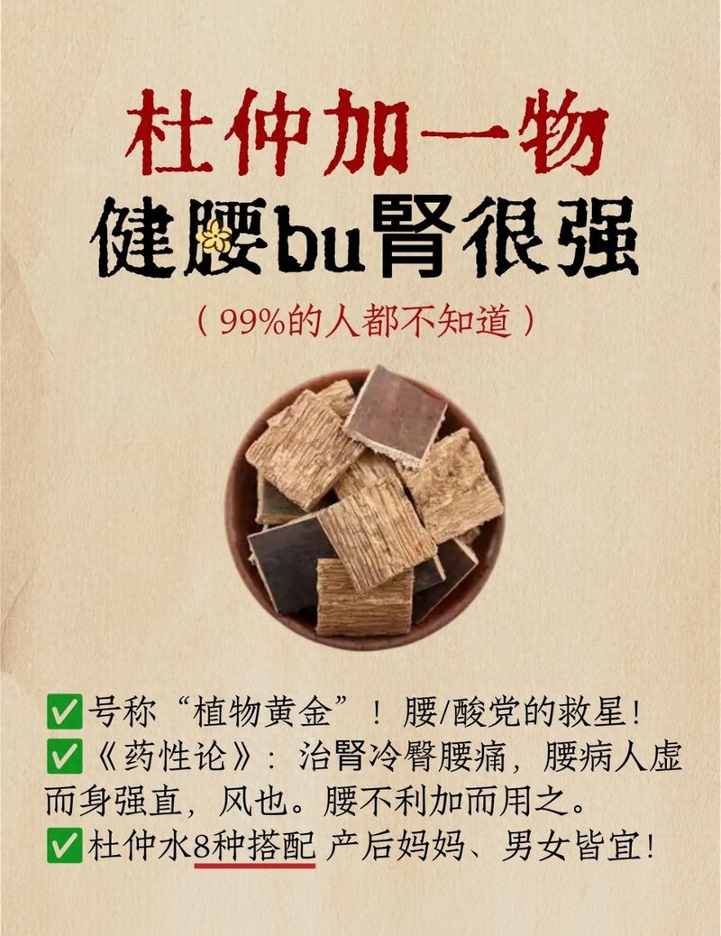 杜仲种子怎么种植技术