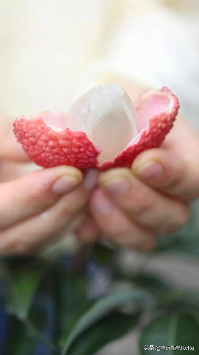 水果种植新品种